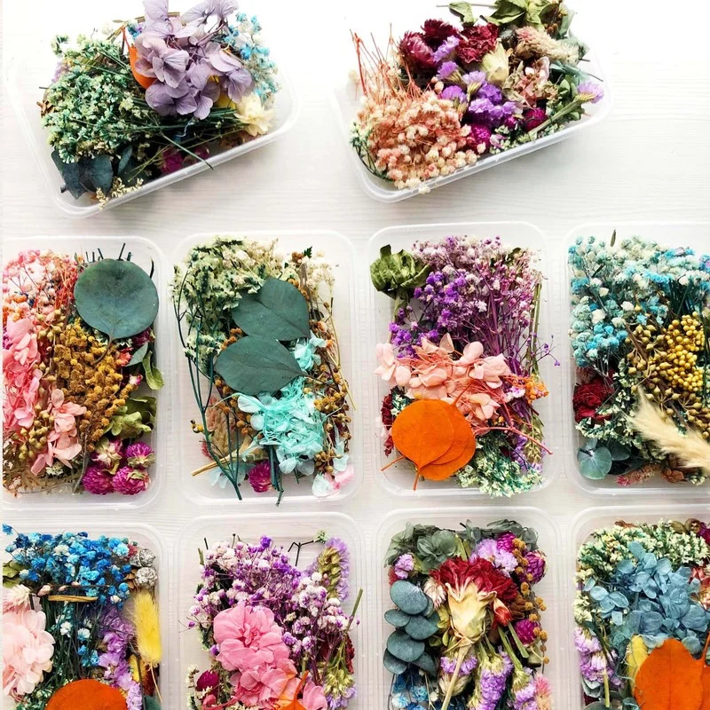 Mix Gyönyörű Valódi Szárított Virágok Természetes Virágos a Művészet Kézműves Scrapbooking Gyanta, Ékszerek, Kézműves, Hogy Epoxi Penész Kép 1