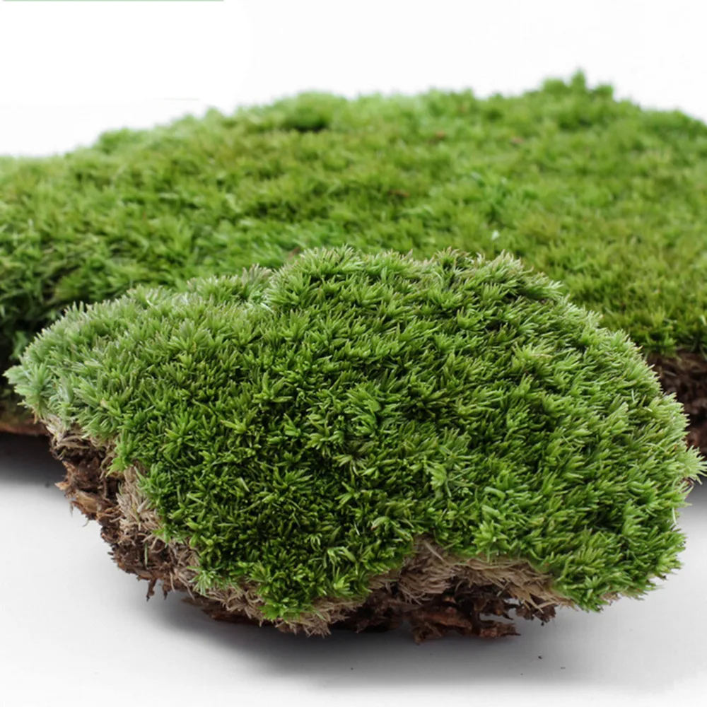 1db Micro Tereprendezés DIY Miniatűr Mesterséges Moss Növény Hosszú Plüss Kő Otthon Kert Esküvői Dekoráció, Kézműves Kiegészítők Kép 1