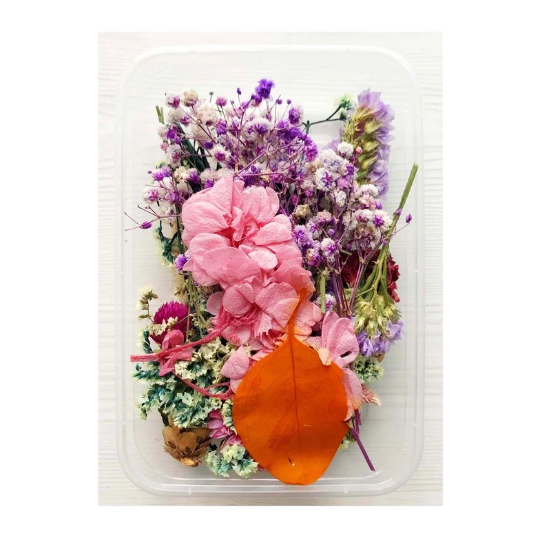 Mix Gyönyörű Valódi Szárított Virágok Természetes Virágos a Művészet Kézműves Scrapbooking Gyanta, Ékszerek, Kézműves, Hogy Epoxi Penész Kép 2