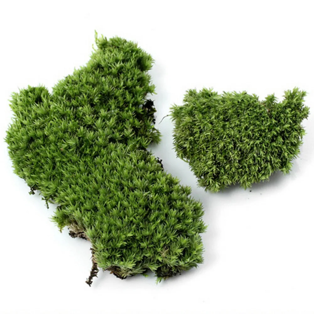 1db Micro Tereprendezés DIY Miniatűr Mesterséges Moss Növény Hosszú Plüss Kő Otthon Kert Esküvői Dekoráció, Kézműves Kiegészítők Kép 2