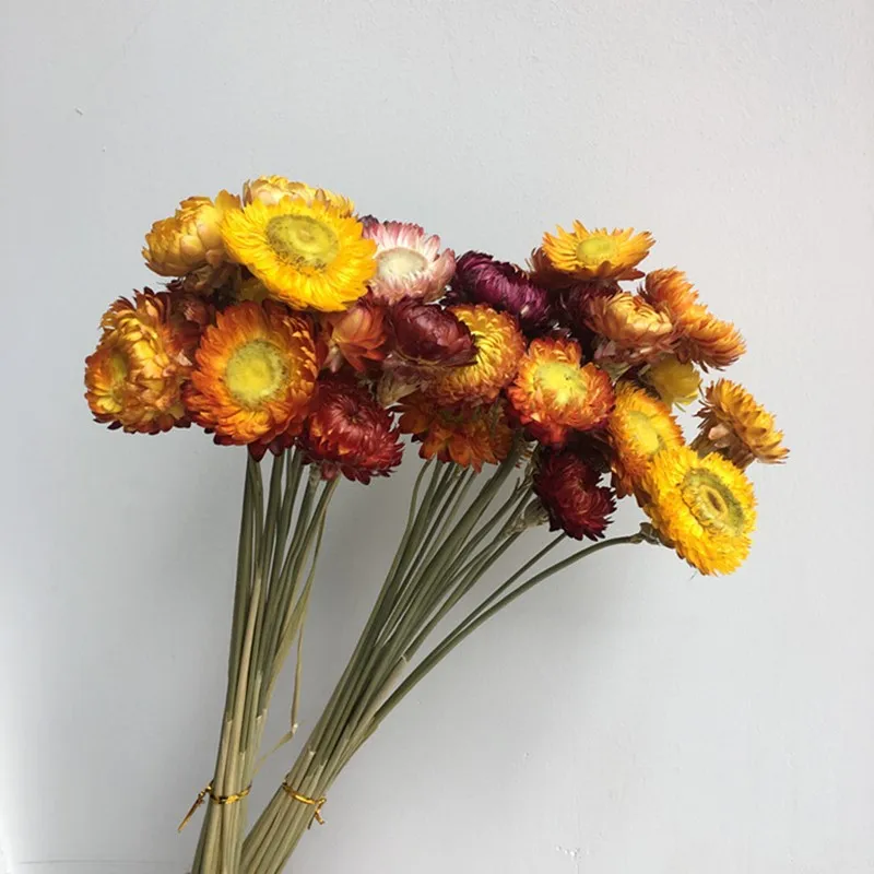 Tartósított Virág Ág Coreopsis Dekoráció DIY Természetes Daisy Krizantém Haza Díszek Szárított Növényi Szár Esküvő Party Dekoráció Kép 2