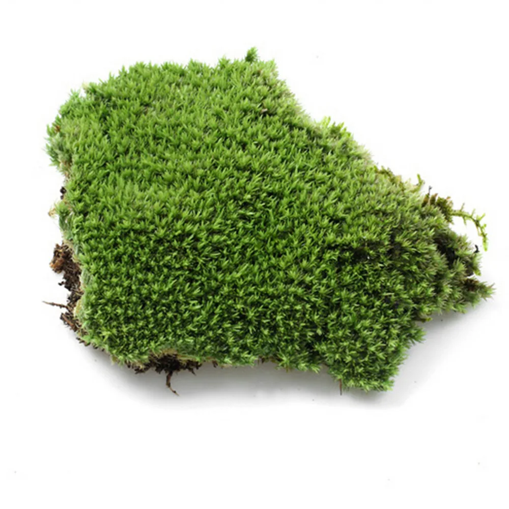 1db Micro Tereprendezés DIY Miniatűr Mesterséges Moss Növény Hosszú Plüss Kő Otthon Kert Esküvői Dekoráció, Kézműves Kiegészítők Kép 3