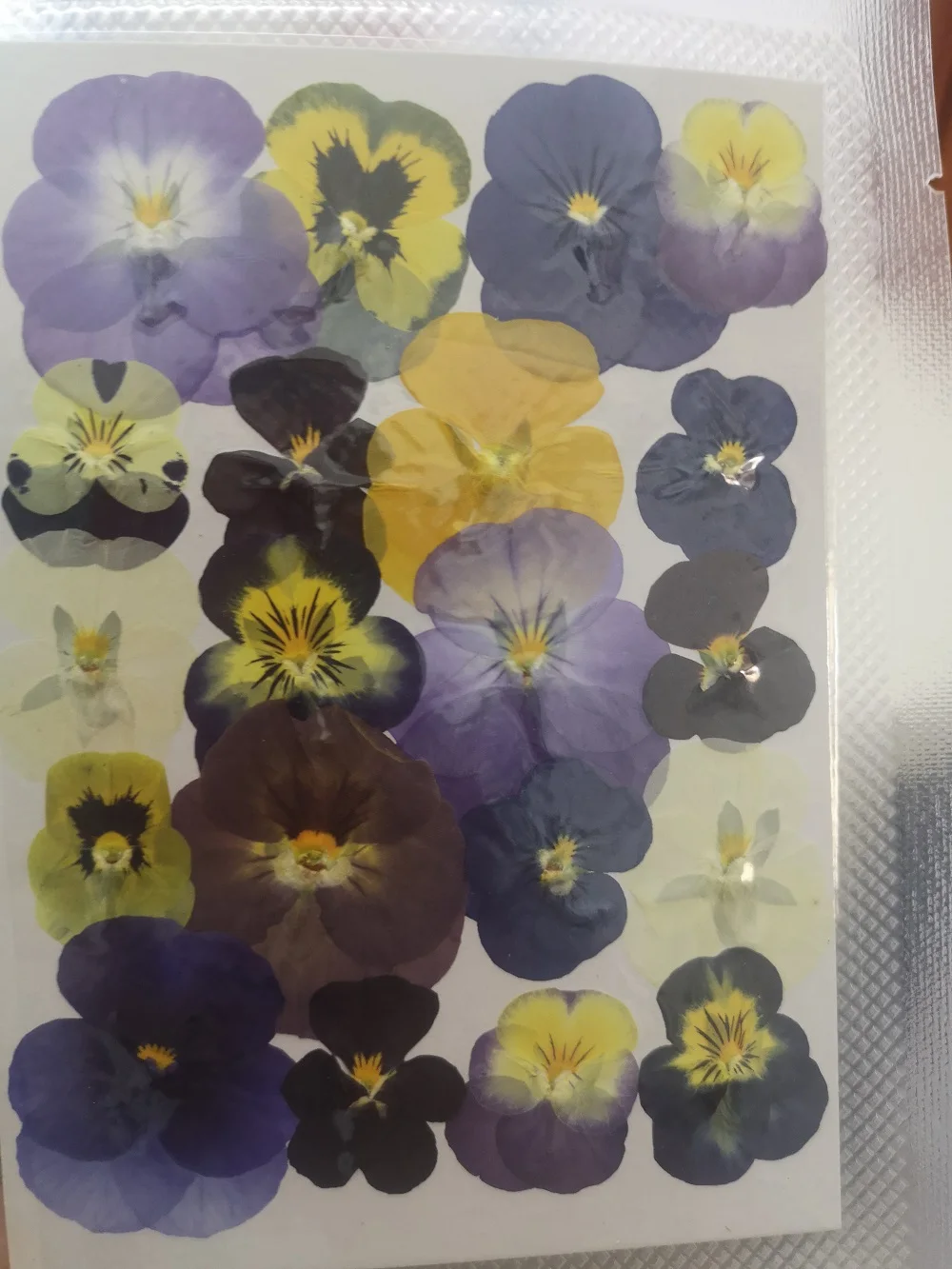 60pcs Préselt, Szárított Viola Tricolor L. Virág, Növény Herbárium A Köröm smink, Ékszerek Könyvjelző Telefon Esetében Kártya DIY Kép 3