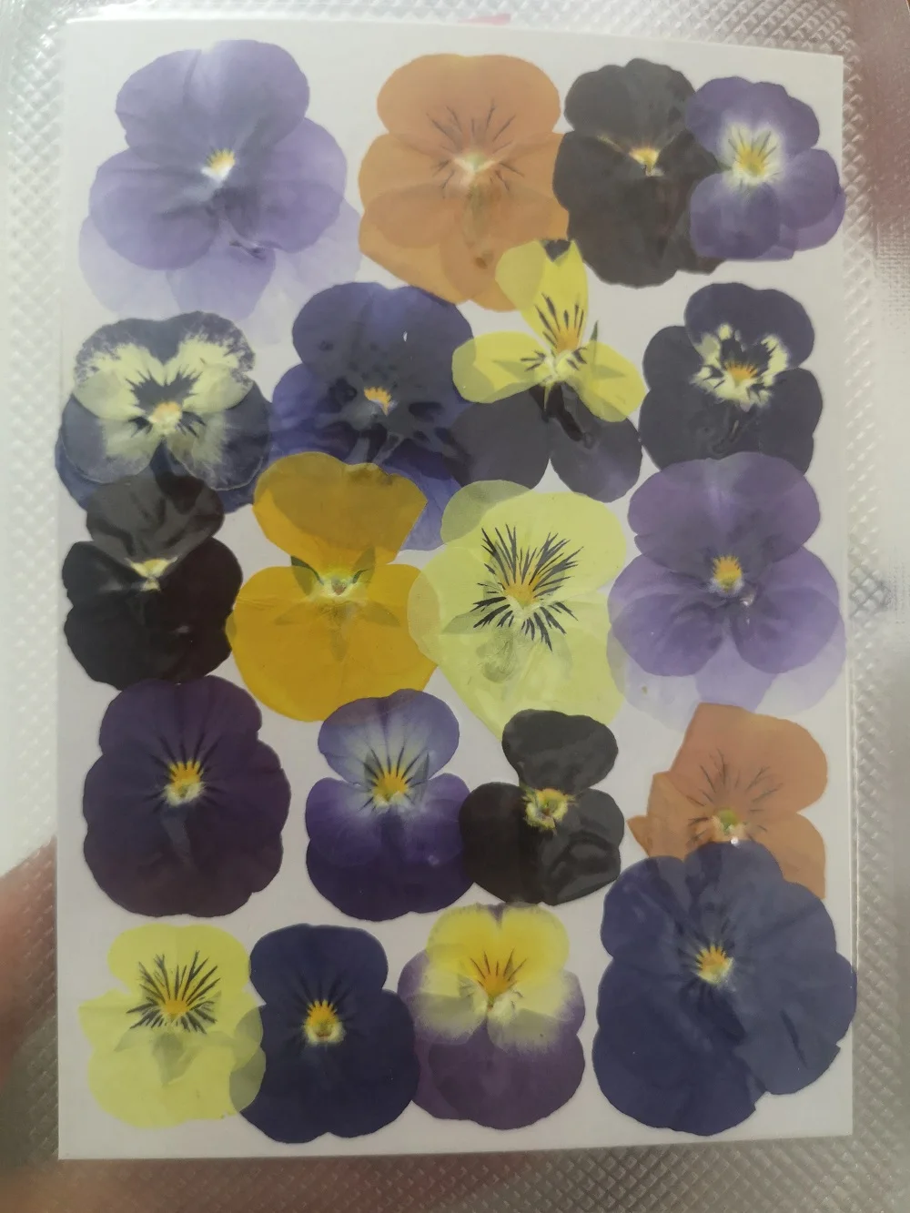 60pcs Préselt, Szárított Viola Tricolor L. Virág, Növény Herbárium A Köröm smink, Ékszerek Könyvjelző Telefon Esetében Kártya DIY Kép 4