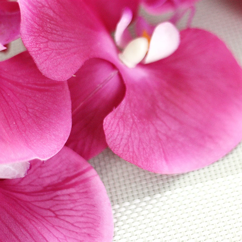 Mesterséges Virágokat Igazi Kapcsolatot Phalaenopsis Pillangó Orchidea az Új Ház, Haza Esküvő Fesztivál, Dekoráció, Parti Hotel Dekoráció Kép 5