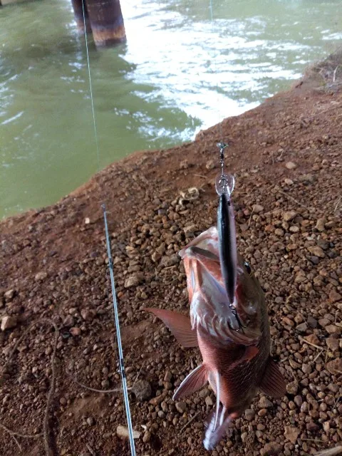 FISHINAPOT 1db Úszó 11cm/13.6 g Ponty Halászati Csalit Lézer Élethű Nehéz a Csali 3D Szemek Wobblerek Ponty Crankbait horgászfelszerelés Kép 5