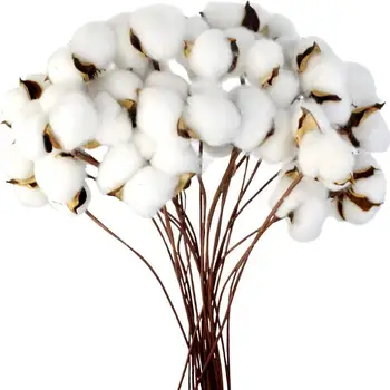 20DB Természetesen Szárított Pamut Virágos Növények Mesterséges Virágos Ág Az Esküvő Party Dekoráció Hamis Virágok lakberendezés Virágos 1
