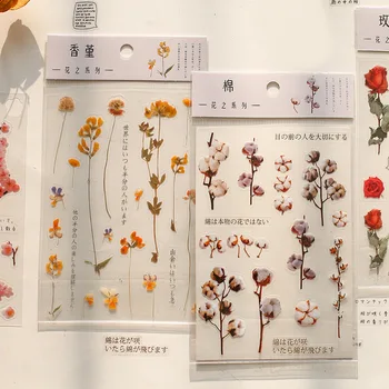 Daisy Hétvégén Virágok Deco Stickers Scrapbooking Stílus Journal Játék Deco Album DIY Írószerek Matrica 1