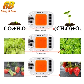 LED COB Chip termeszthető Növény a Fény Teljes Spektrumát 110V, 220V 20W 30W 50W Beltéri Növény Csemete Nő, Virág Növekedés Világítás 2